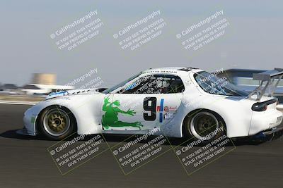 media/Feb-23-2025-CalClub SCCA (Sun) [[bfce4a12aa]]/Group 7/(Quallifying Race)Turn 3/